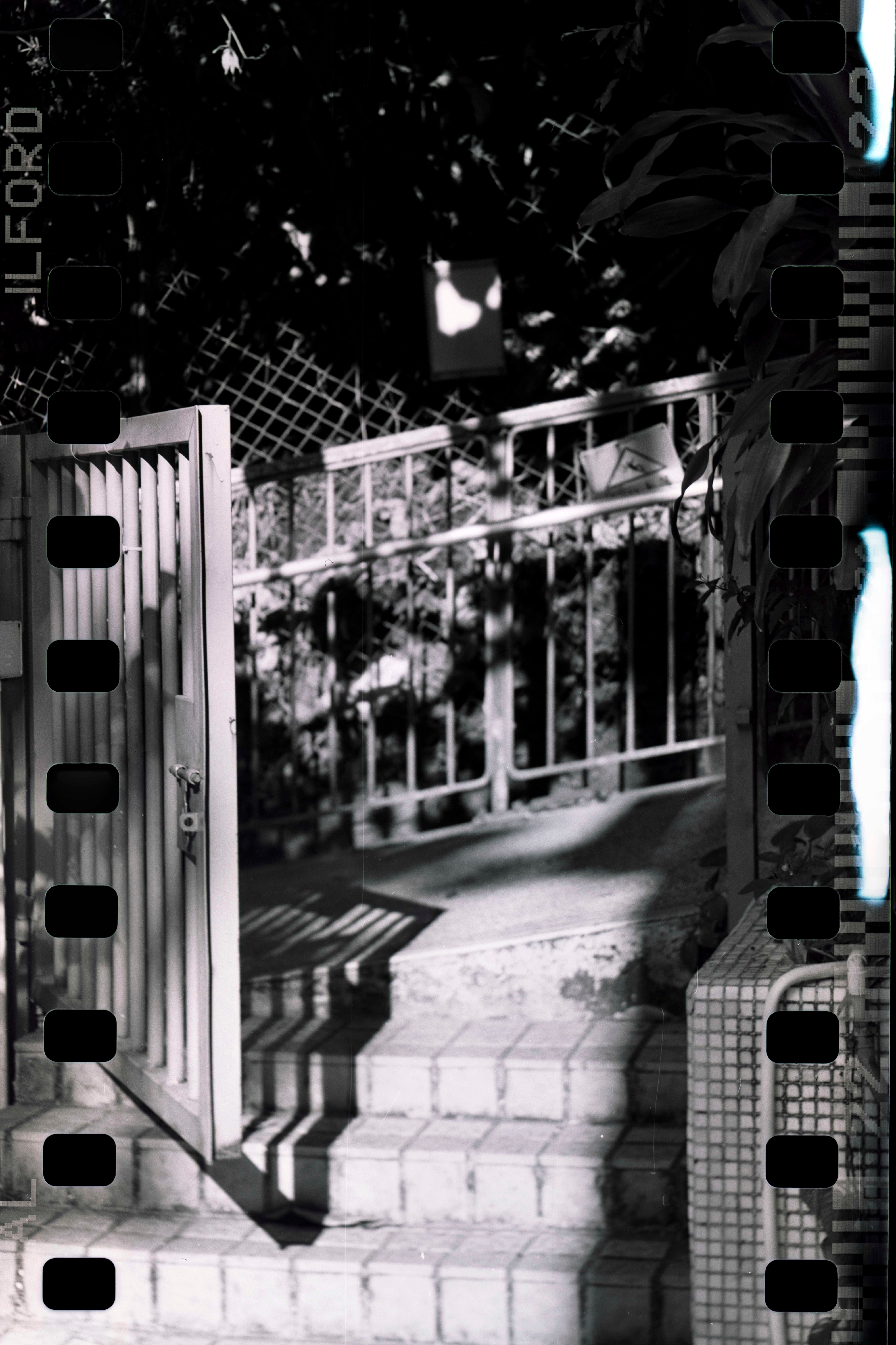 Developed film